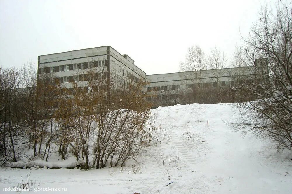 новосибирский городской перинатальный центр. новосибирский городской клинический перинатальный центр. женская консультация новосибирск революции 6. перинатальный центр новосибирск. новый перинатальный центр новосибирск.