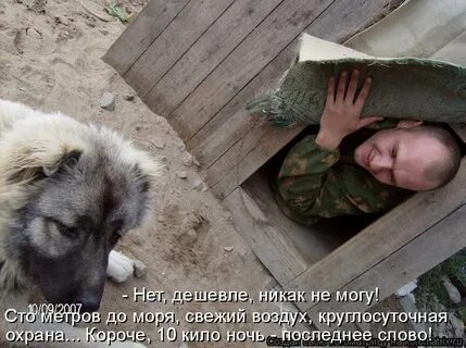 Никак не дома