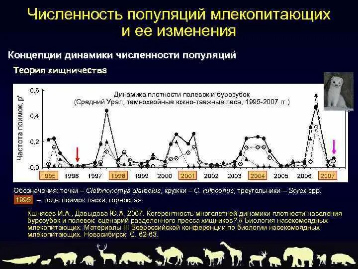 Численность популяции из года в год. Сезонная динамика численности популяции. Сезонный Тип динамики численности популяций. Типы динамики численности популяции. Многолетний Тип динамики численности.