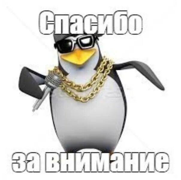 Мем пингвин спасибо. Спасибо за внимание пингвин. спасибо за внимание мем пингвин. спасибо за внимание понгви. спасибо за внимание для презентации пингвин.
