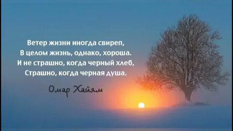 Про мудрость цитаты с картинками