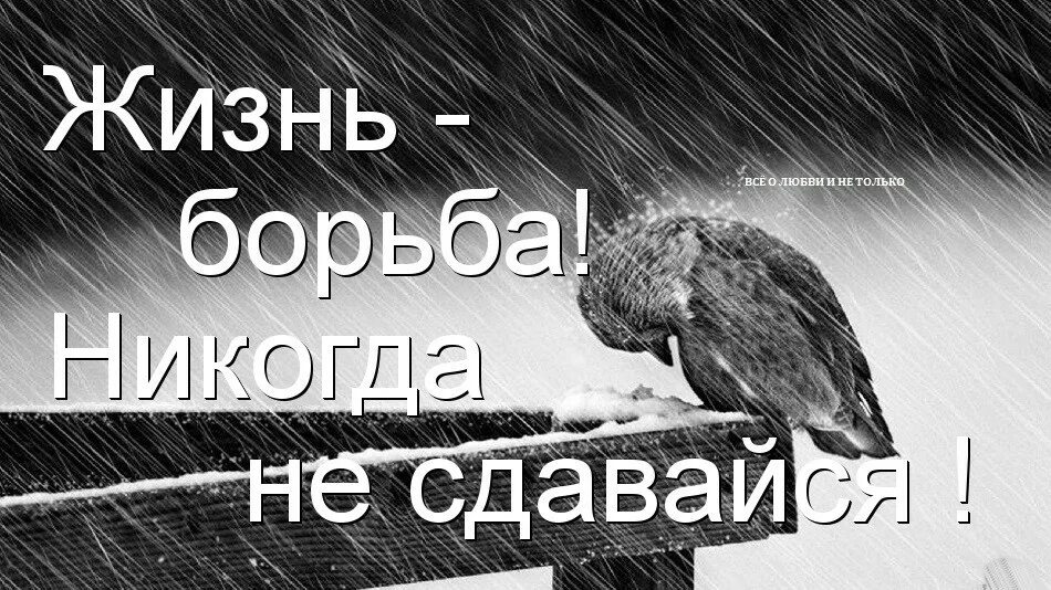 Всю жизнь борьба за счастье 290. Жизнь борьба. Жизнь борьба афоризмы. Наша жизнь борьба. Жизнь это борьба цитаты.