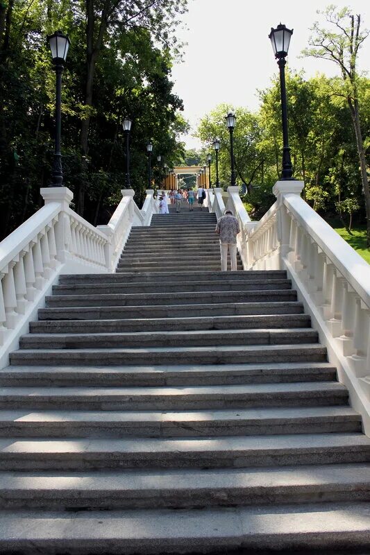 Сайт новая лестница. Ступеньки в новом свете.