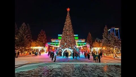 Главная елка сибири