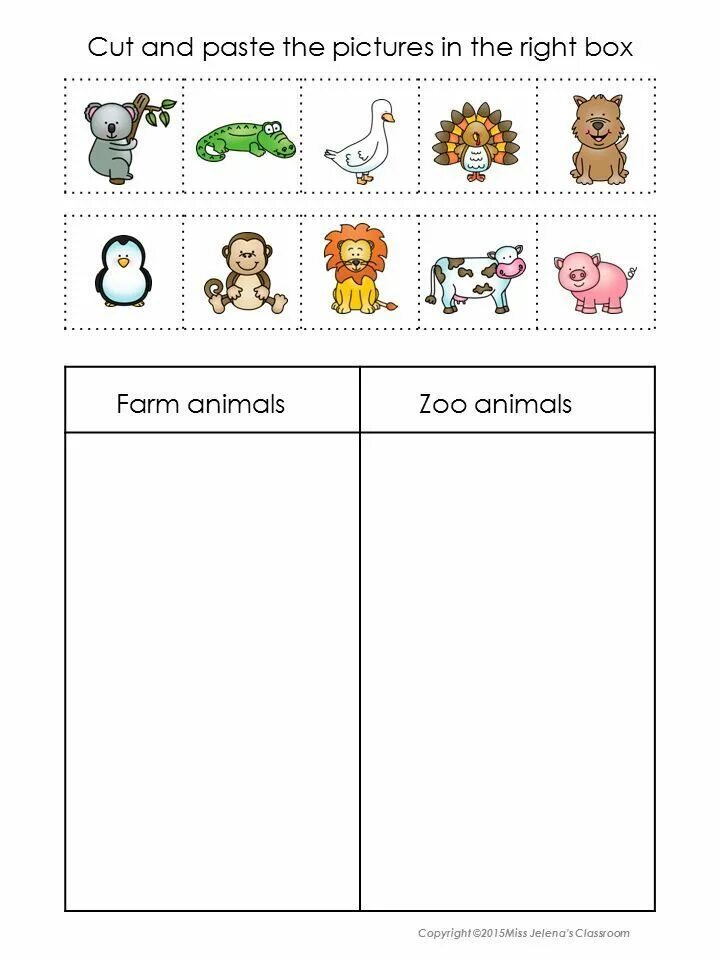 Type of pet name age description activities