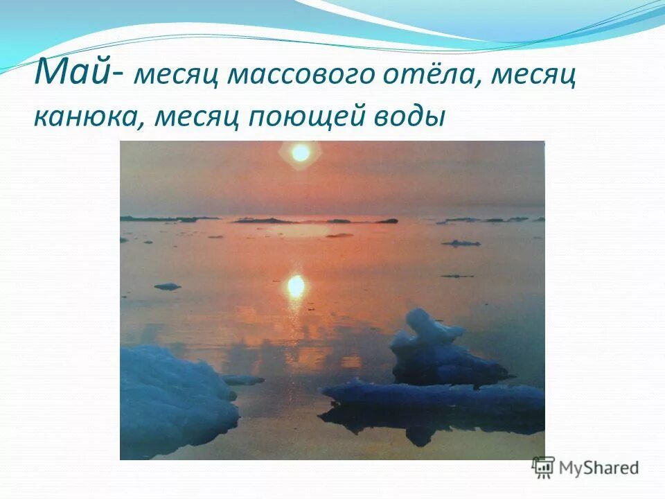 январь месяц больших молчаливых снегов