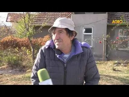 Ваня на полях