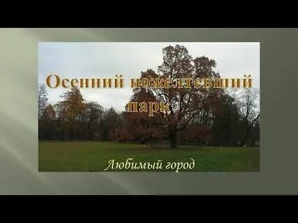 Книга город осень