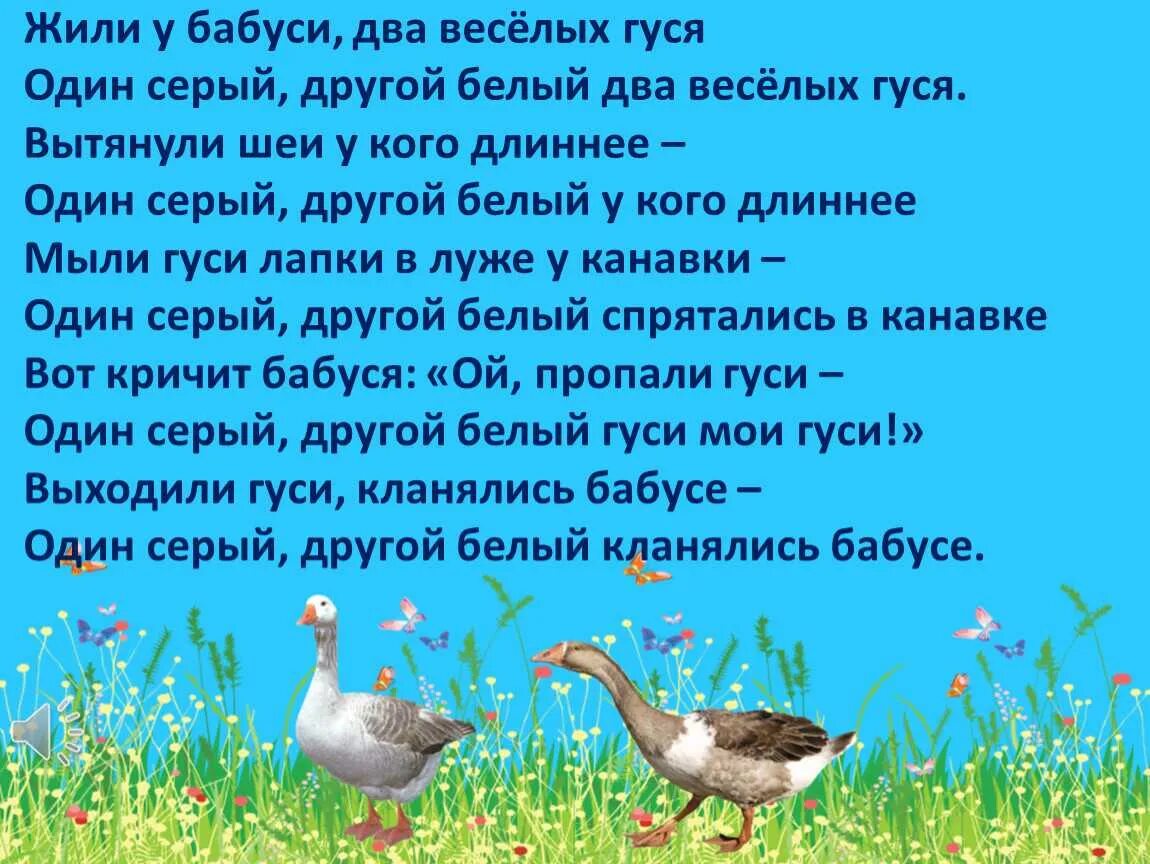 Два гуся читать. Сказка жили у бабуси 2 веселых гуся. жили у бабуси два веселых гуся стих. стих жили у бабуси 2 веселых гуся. стих два веселых гуся.