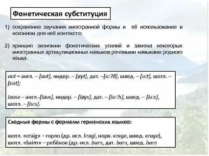 Фонетическом и грамматическом