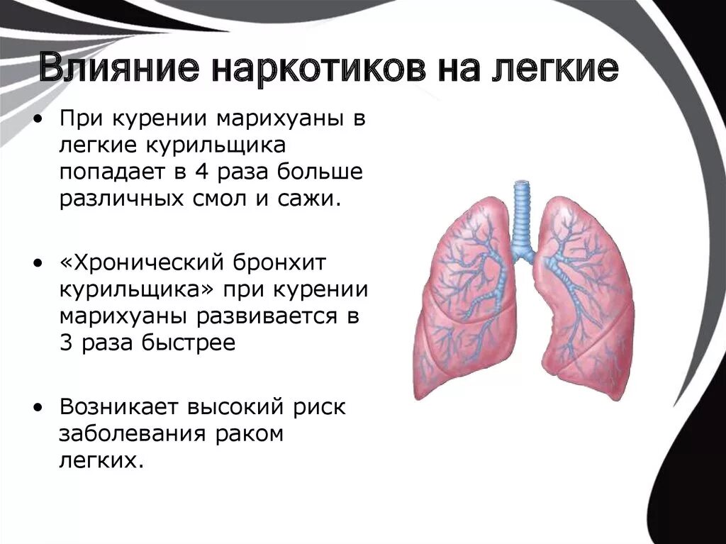 Влияние наркотиков на дыхательную систему. Наркотики влияние на легкие. Воздействие наркотиков на легкие. Влияние наркотиков на лёгкие.