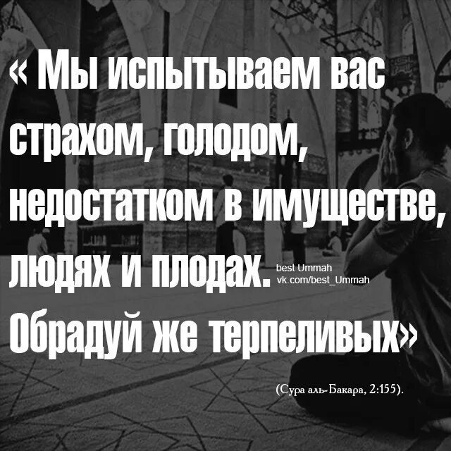 Боюсь голода. Так обрадуй же терпеливых. Мы непременно испытаем вас. Мы непременно испытаем вас Коран. Обрадуй же терпеливых аят.