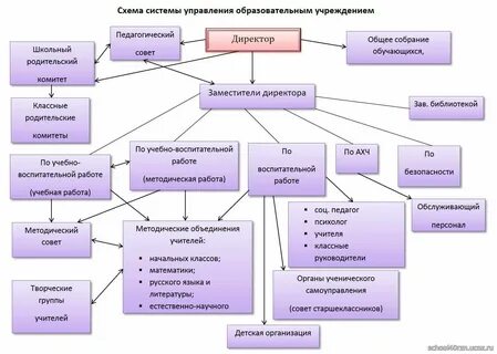 Социальная структура образовательной организации