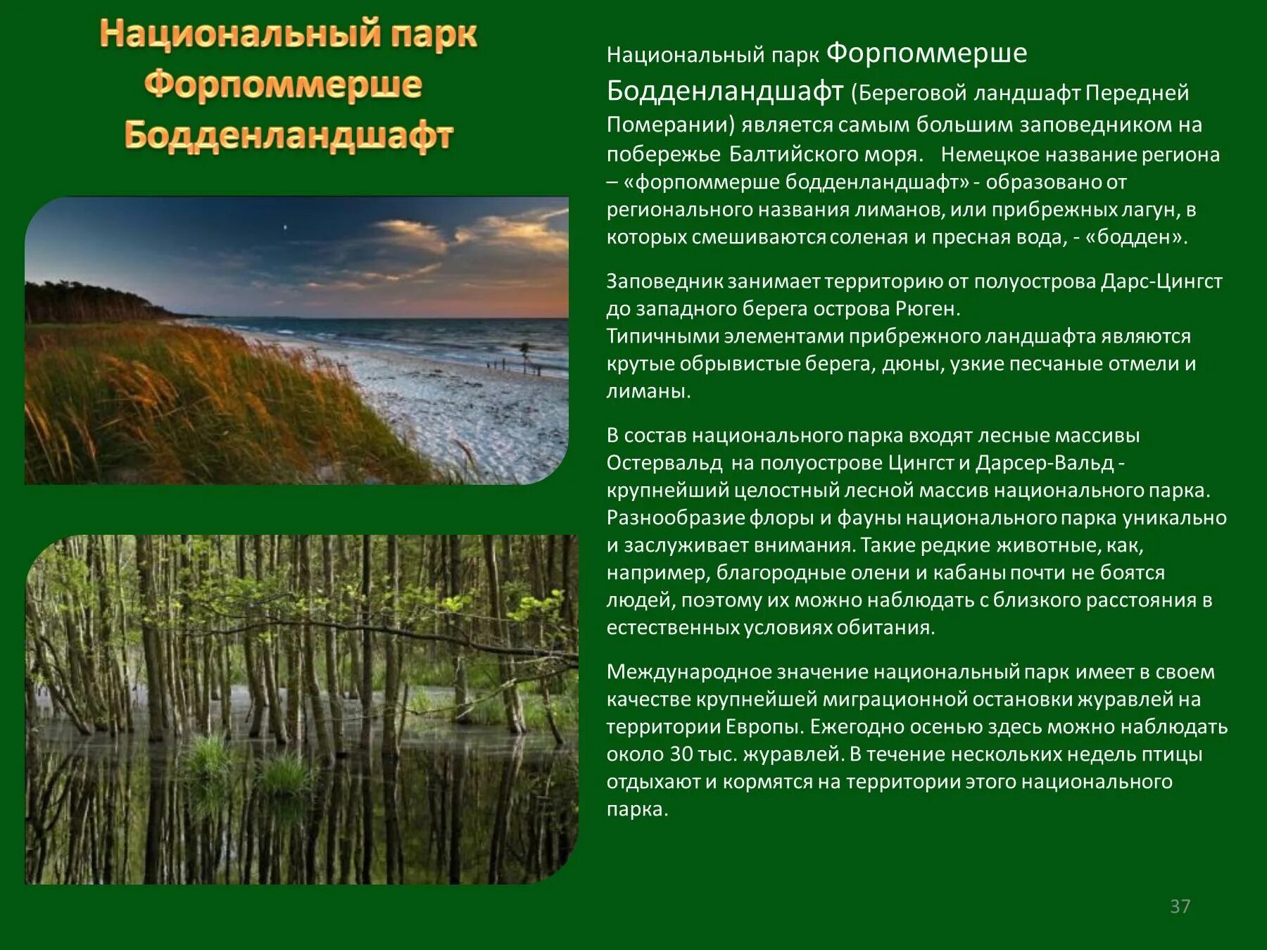 Страна и примеры национальных парков. Национальные парки презентация. название национальных парков. сообщение на тему национальный парк. национальный парк россии сообщение.