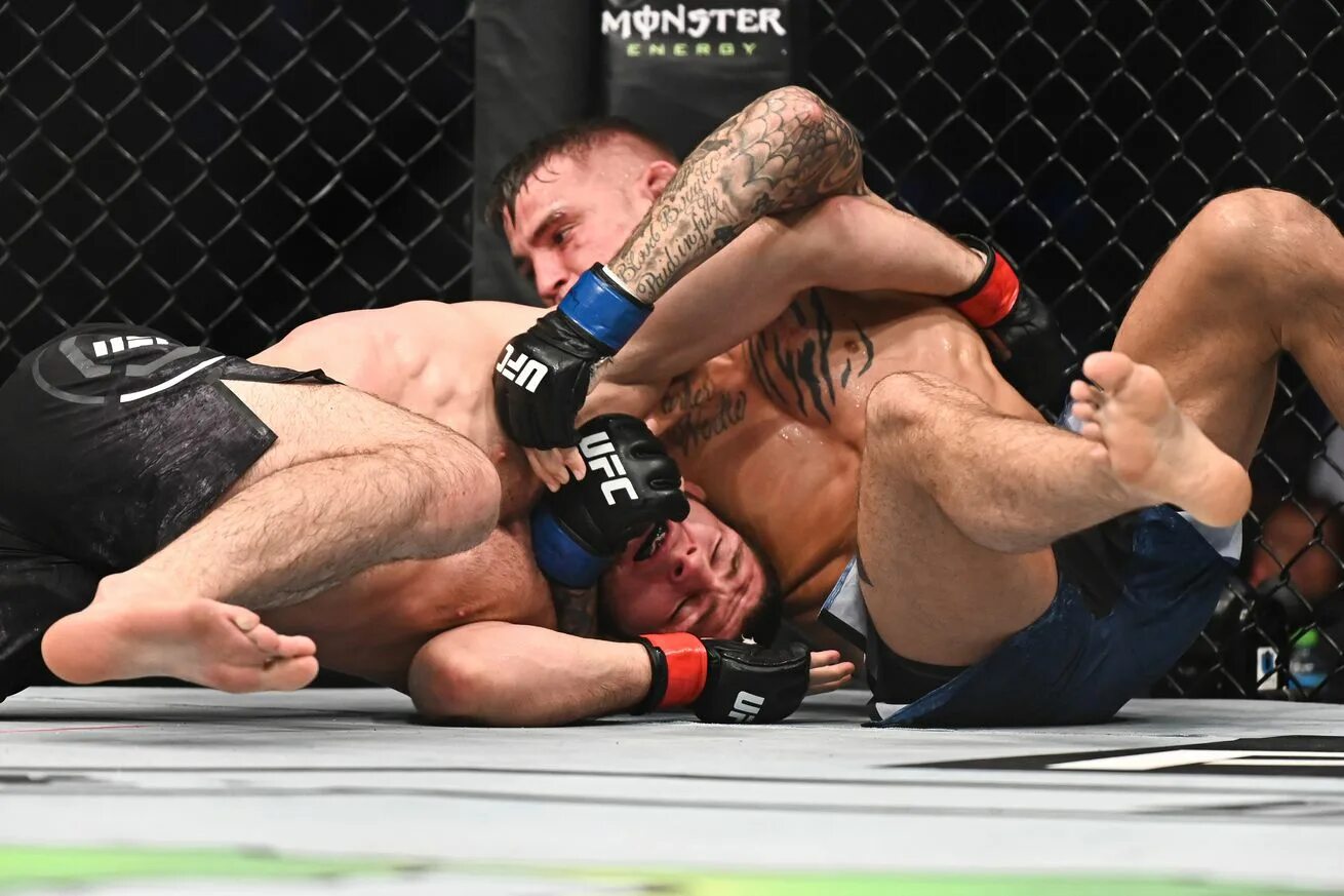 Эстонский боец мма алик цейко. Дастин порье хабиб нурмагомедов. Как расшифровывается мма. Борец смешанных единоборств. Петр ян юрая файбер удар.