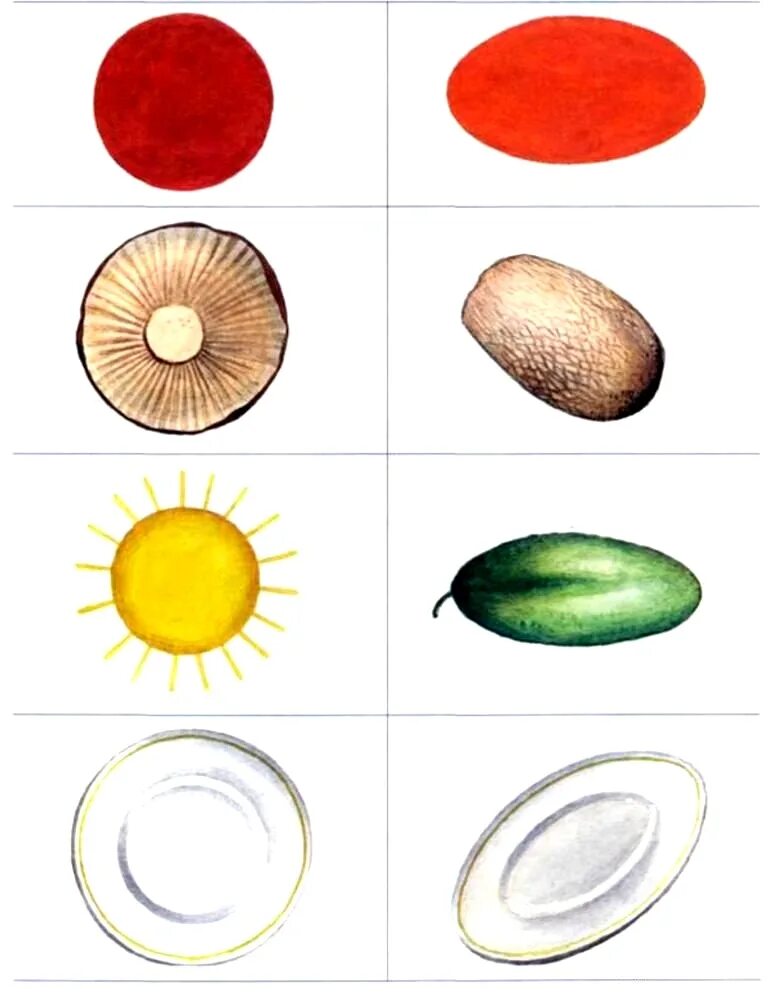 Овальные предметы. Предметы овальной формы для детей. Круглые и овальные предметы. Рисование предметов овальной формы. Наподобие овала