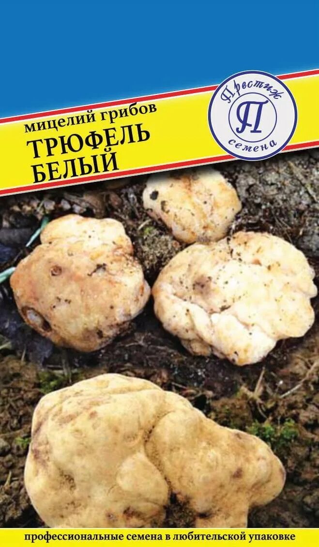 Белый трюфель. Мицелий трюфель белый. семена белого трюфеля. мицелий трюфеля. трюфель престиж.