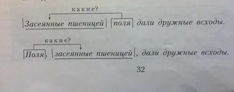 Яблоня синтаксический