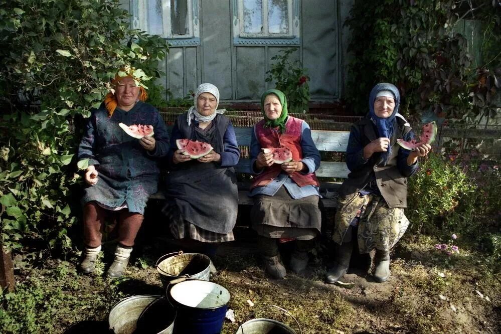 Старушка с семечками на лавочке. Песня про деревню вот она деревня семечки да лавочки. Бабушки на скамейке в деревне. Деревня семечки. Деревня и семечки.