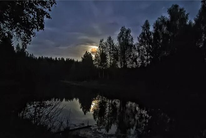 В темную тихую ночь. Майский вечер в лесу. темная майская ночь. пруд в лесу ночью. темная майская ночь в лесу.