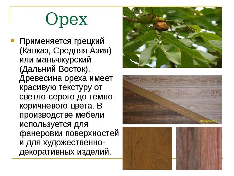Для чего используется дерево. Грецкий орех древесина характеристика. орех порода дерева. орех структура древесины. характеристики ореха дерево.