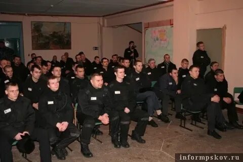 Колония 2 13
