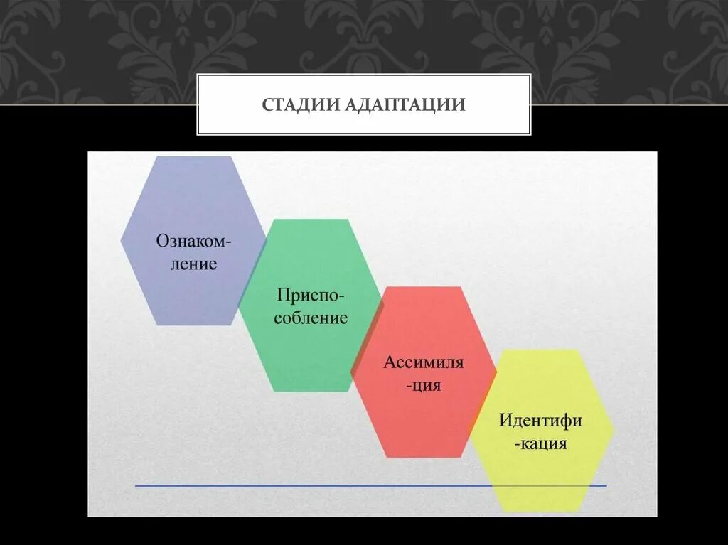 Стадии адаптации. 4 Этапа адаптации. Стадии адаптации человека. Фазы адаптации. 1 этап адаптации