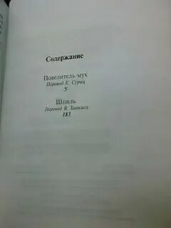 Повелитель мух читать содержание