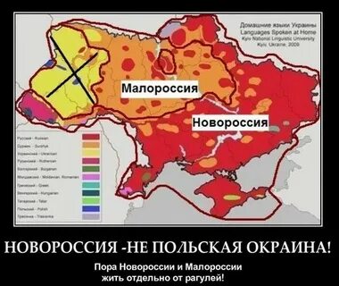 В новороссию входили территории
