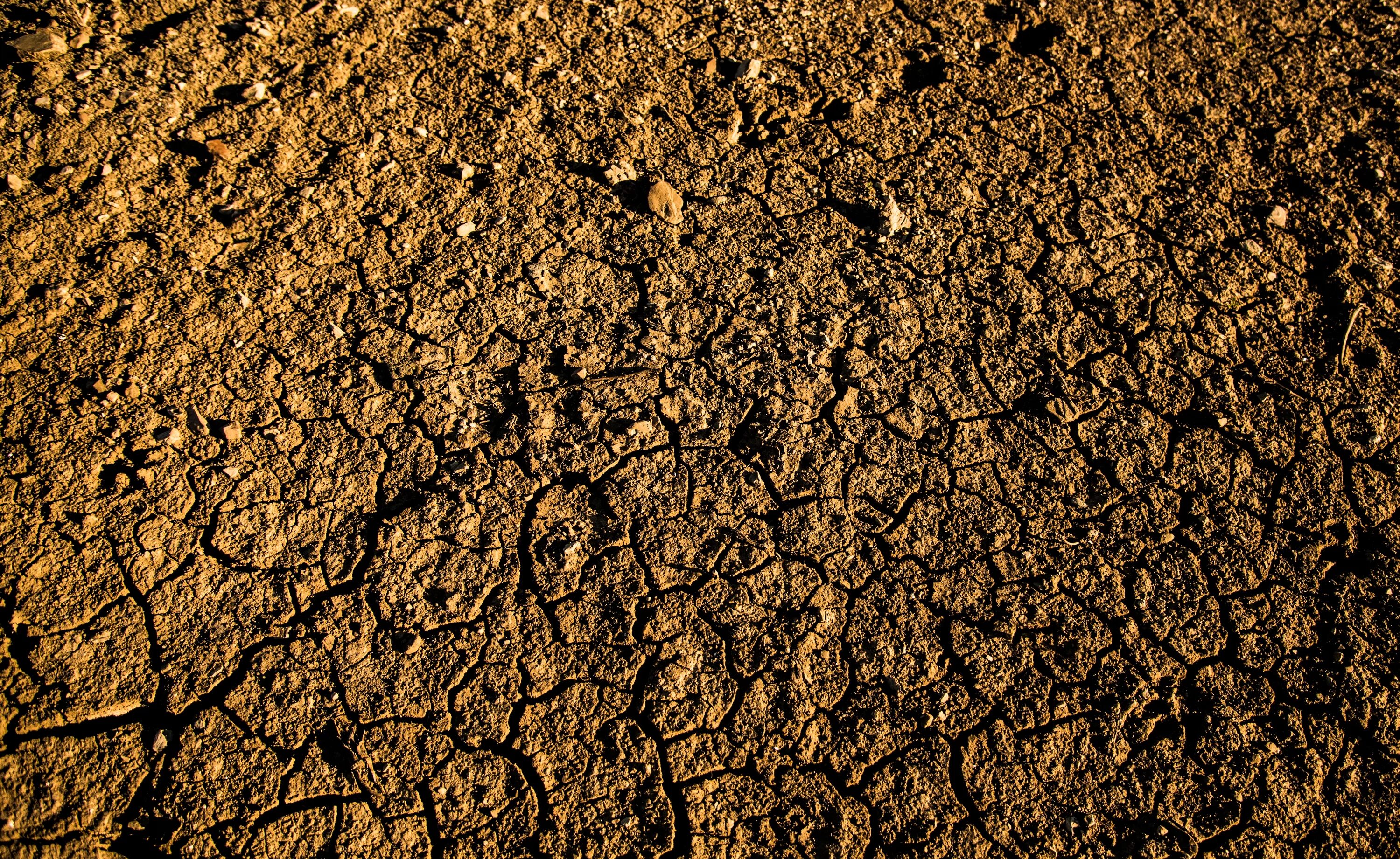 Ground