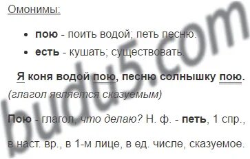 Исполняющий разбор. Русский язык 9 класс упражнение 141. Русский язык 5 класс 1 часть упражнение 141. Я коня водой пою песню солнышку пою. Канакина Горецкий русский язык упражнение 141.