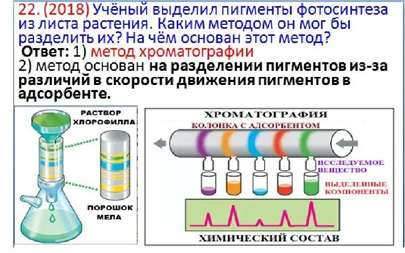 Современные методы исследования в цитологии. Метод исследования в цмтолонмм. Методы изучения клетки таблица биология 10 класс. Методы биологических исследований клетки. Методы цитологии егэ биология.