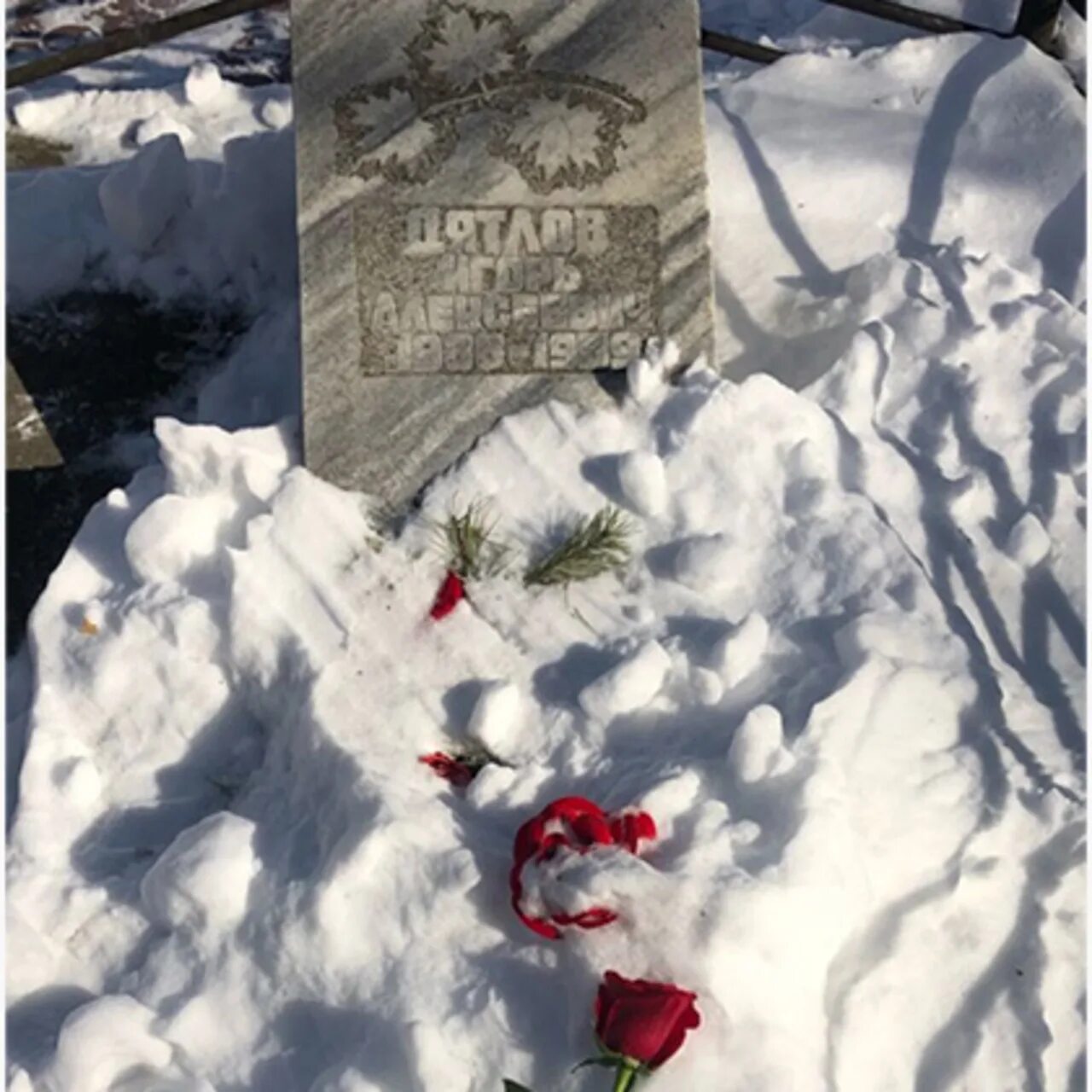 похоронен с дятловцами