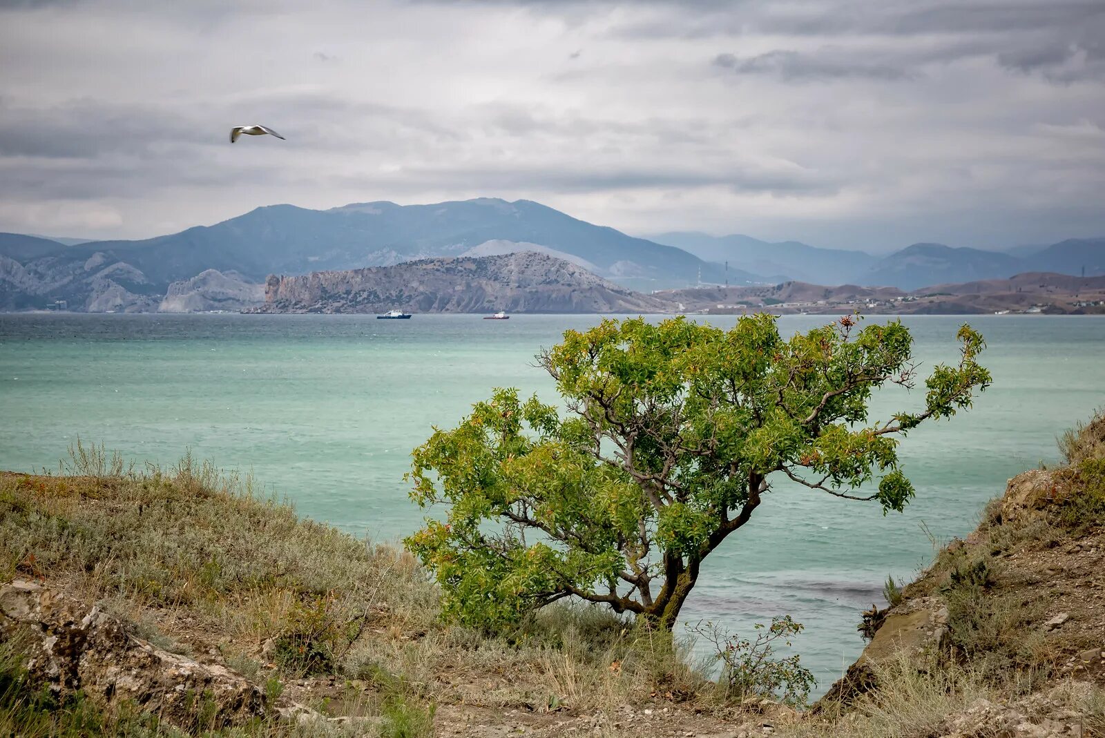 Климат Крыма. Восточный Крым. Погода в Крыму. Погода в Крыму фото. Погода крымская область