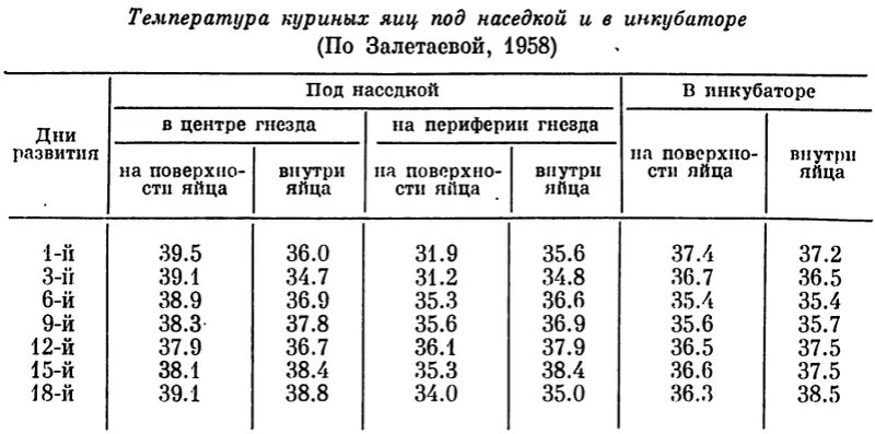 Температура под курицей наседкой. Температура тела у кур. Температура яйца под наседкой. Температура тела у курицы наседки. Температура тела кур