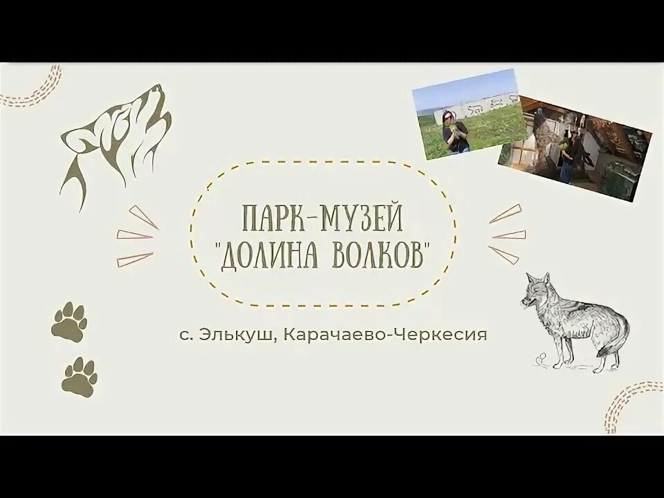 Элькуш волки. Музей волка элькуш.