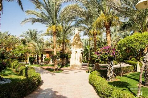 Magic sharm