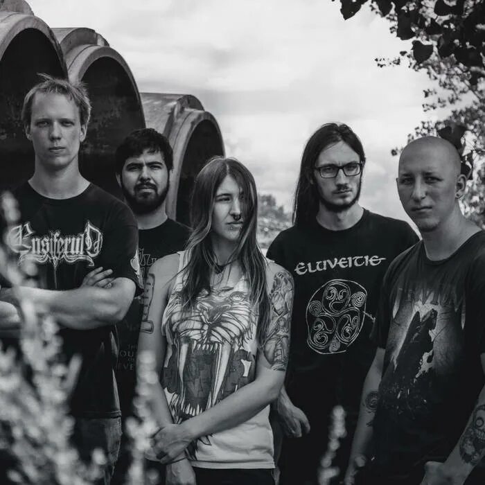 When did you fall. Elderwind группа. fall of the astatic группа. fall. fall of efrafa.