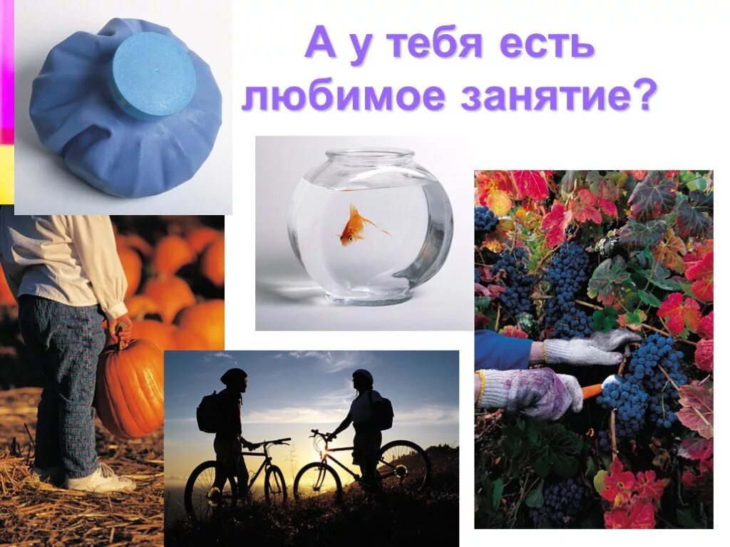 общество мир увлечений