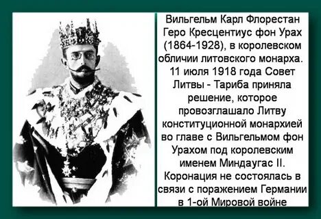 Под ребенком литовского короля участники совещания