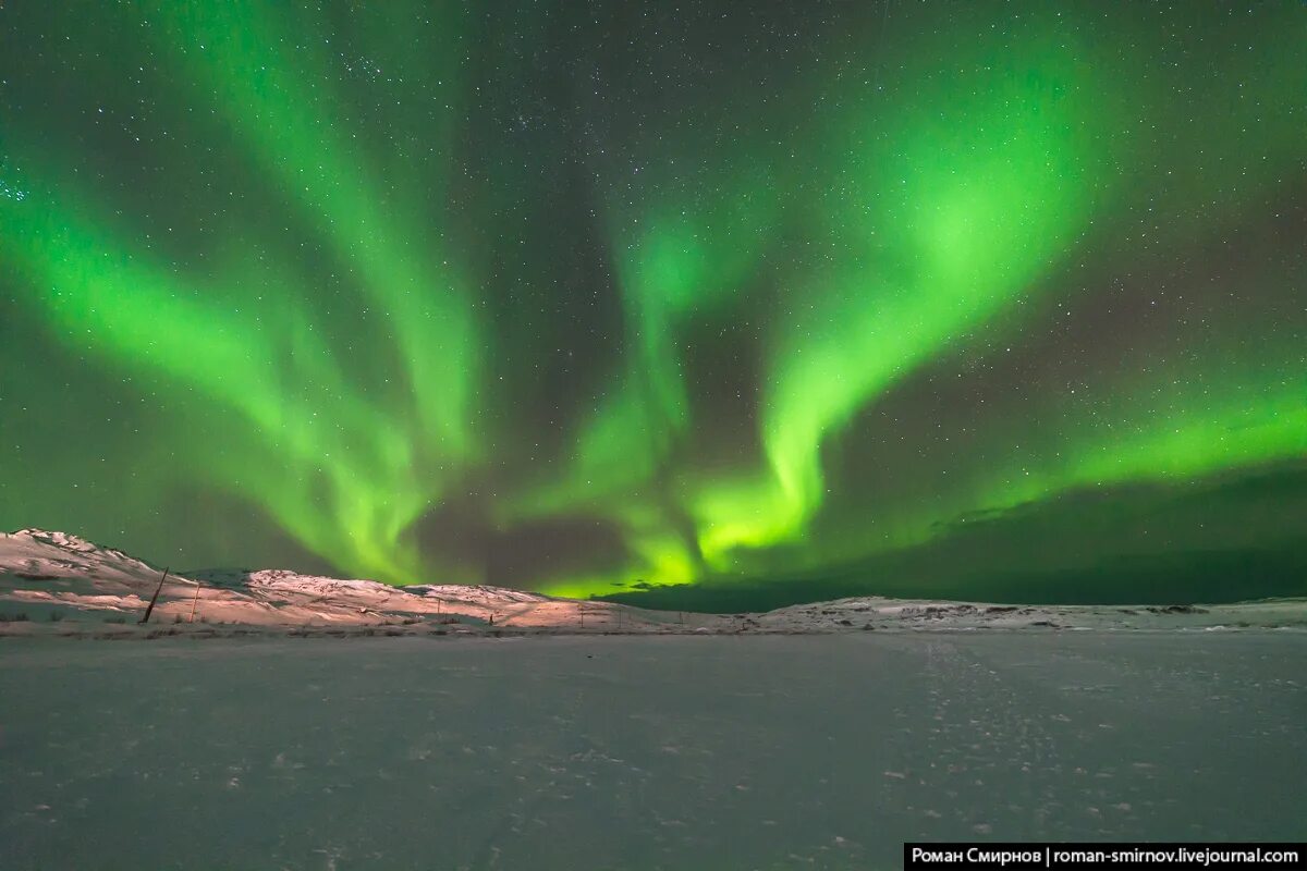 Северное сияние или сполохи. Северное сияние можно наблюдать. Сполохи анимация. Архангельск северное сияние. Северное сияние заповедник пасвик.