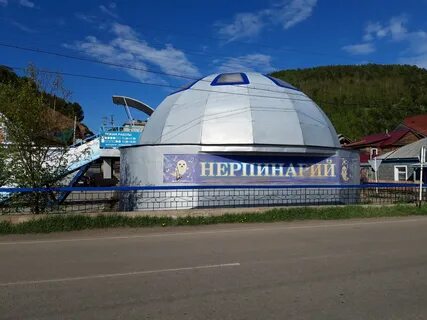 Нерпинарий иркутск