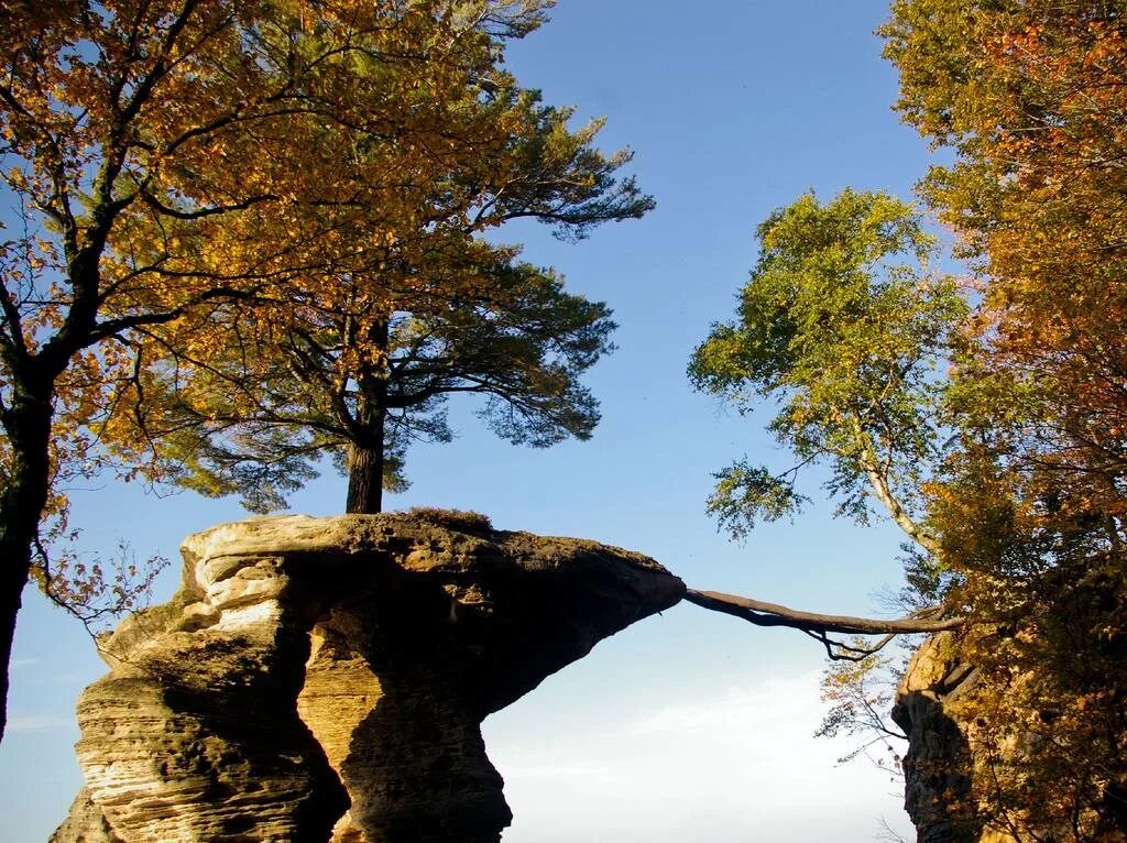 Nature can