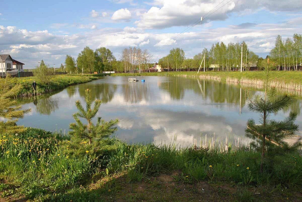 Шапкино парк Наро-Фоминский район. Наро Фоминск Шапкино парк. Деревня Иневка Наро-Фоминский район. Шапкино Наро-Фоминский район пруд. Рыбалка в шапкино наро фоминский