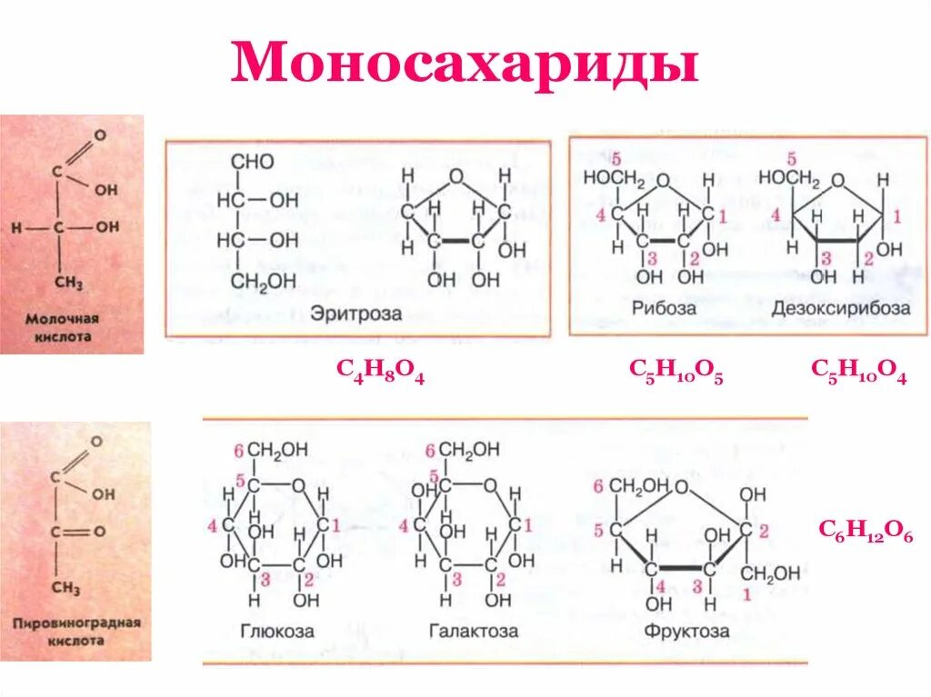 Структурные формулы моносахаридов. Формулы основных моносахаридов. Моносахариды Глюкоза формула. Строение моносахаридов структурная формула. Глюкоза сахароза фруктоза рибоза крахмал