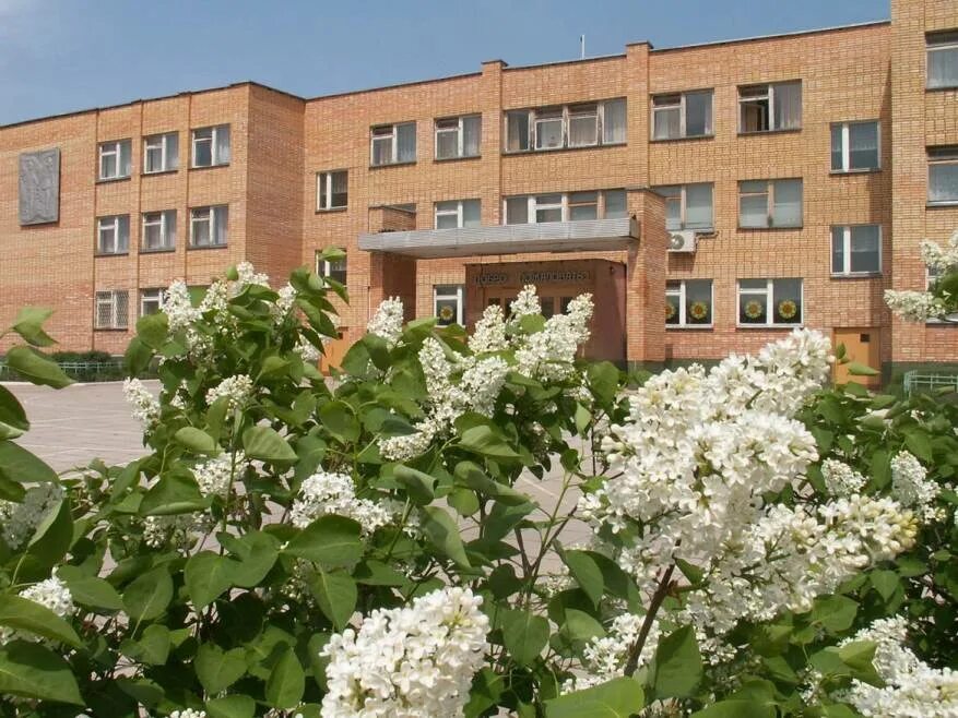 Школа 20 саров. Школа 20 саров. Саров сайты школ. Мбоу школа 20 саров. Саров сайты школ.