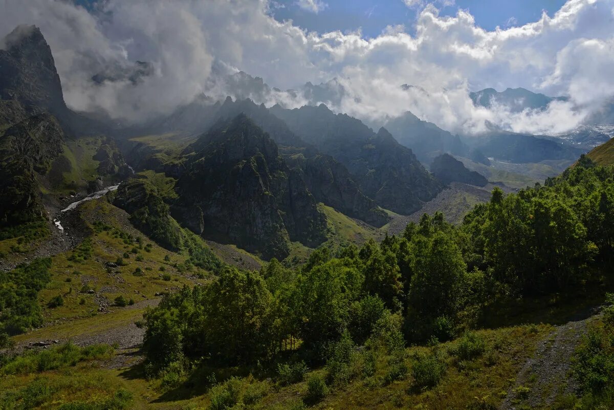 Леса осетии. Цейское ущелье Северная Осетия. Национальный парк «Алания» Цейское ущелье. Цейское ущелье озеро. Ессентуки Цейское ущелье.
