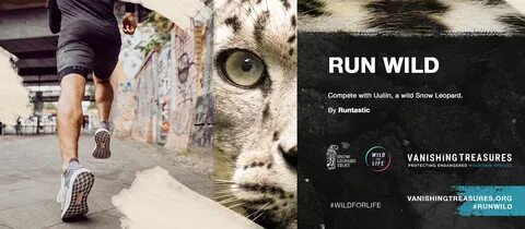 Run for life перевод