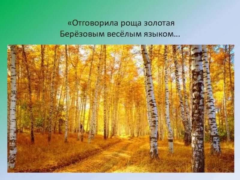 Стих березовая роща есенин. О всех ушедших грезит конопляник. Отговорила роща золотая березовым веселым языком охарактеризуй. 1. Роща золотая есенин текст.