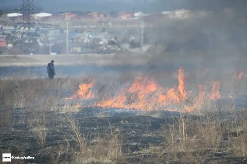Погода смоленка забайкальский край